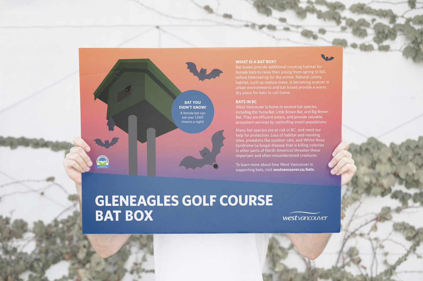 West Vancouver Bat Boxes
